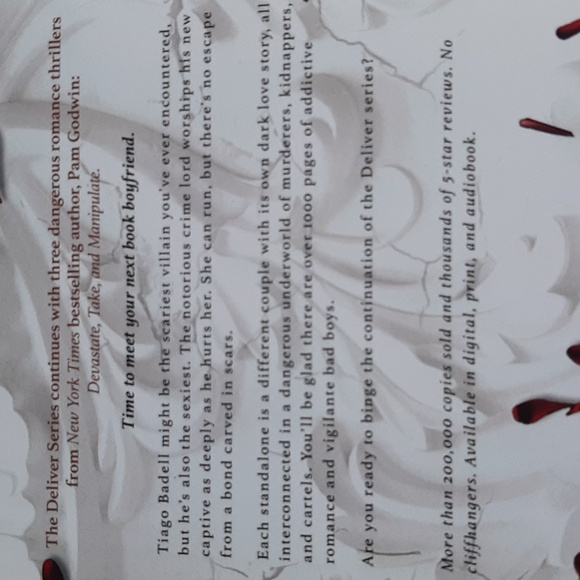 Deliver Us, Into Temptation, From Evil by Pam Godwin - Picture 4 of 4